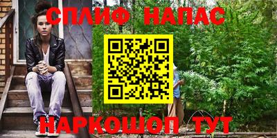 гашик Кунгур