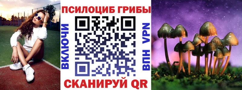 Галлюциногенные грибы Psilocybe Котовск