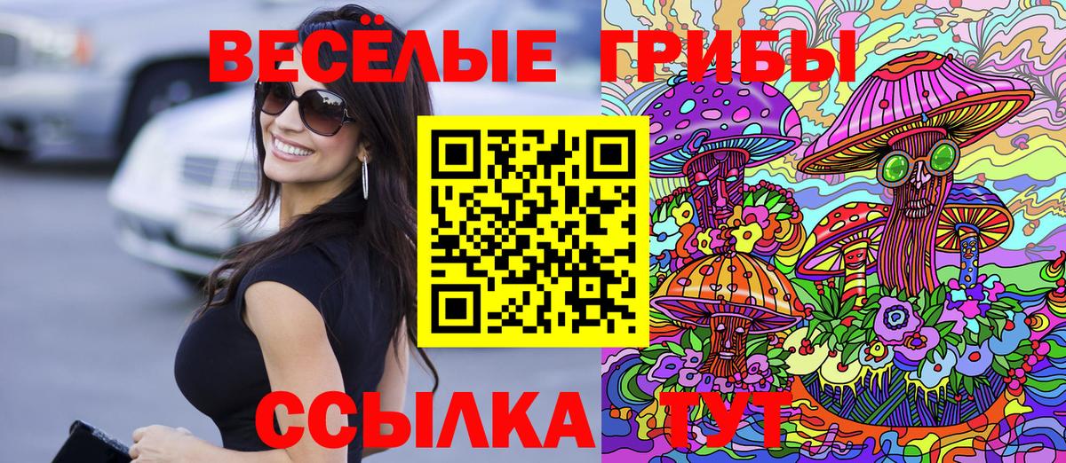 Псилоцибиновые грибы Magic Shrooms Котовск