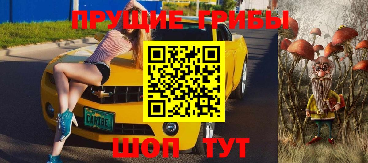 Галлюциногенные грибы Psilocybe  Котовск 