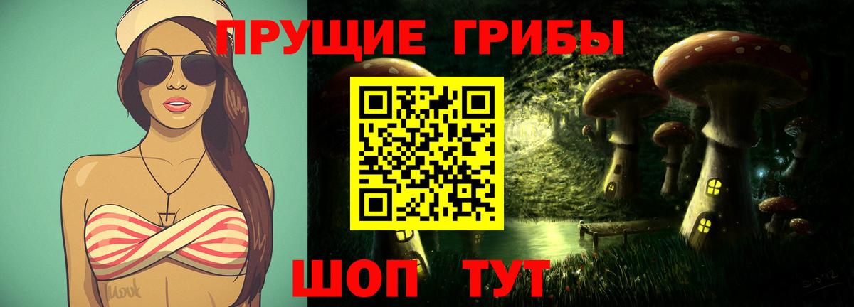 Котовск  Псилоцибиновые грибы Cubensis  Галлюциногенные грибы MAGIC MUSHROOMS  Вход с VPN 